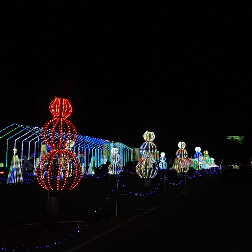 Christmas Lighting Installation