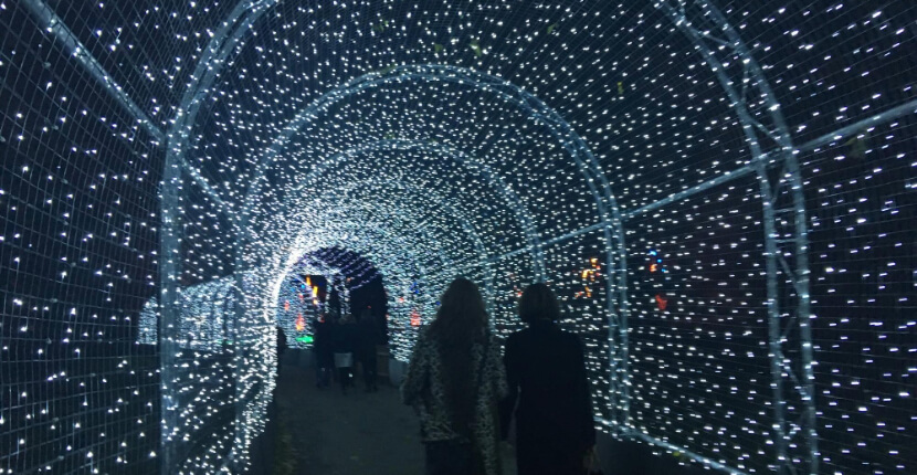 Christmas Lighting Trail Installation in Richmond upon Thames TW9 1