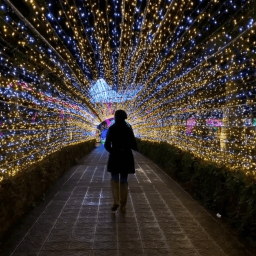 Christmas Lighting Trail Installation