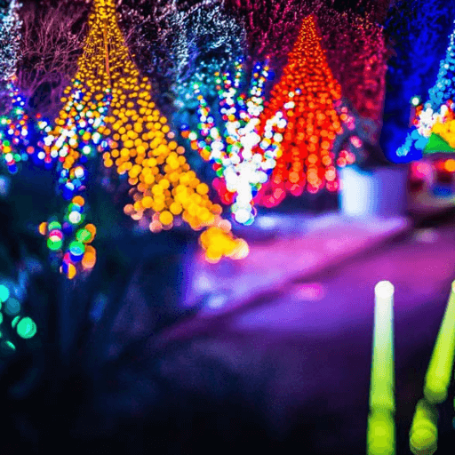 Christmas Lights Trail Setup